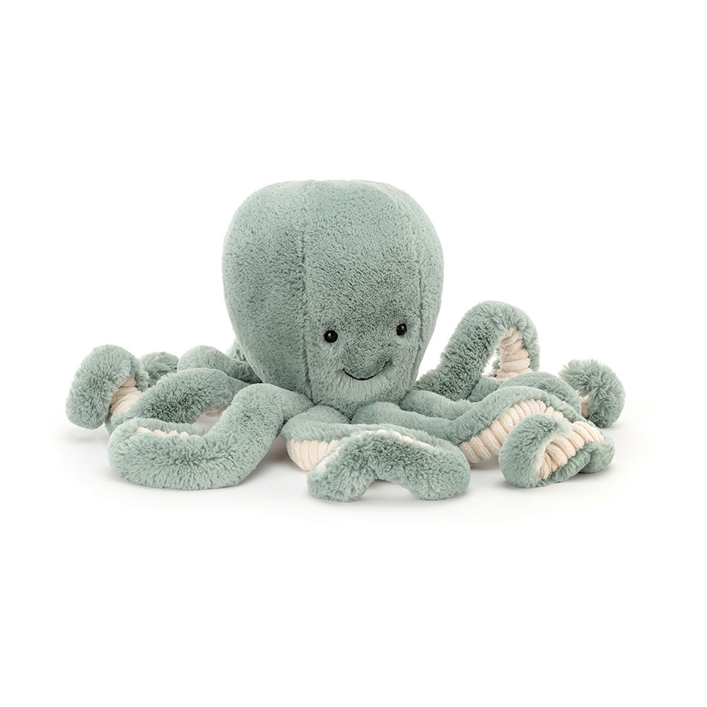 octopus